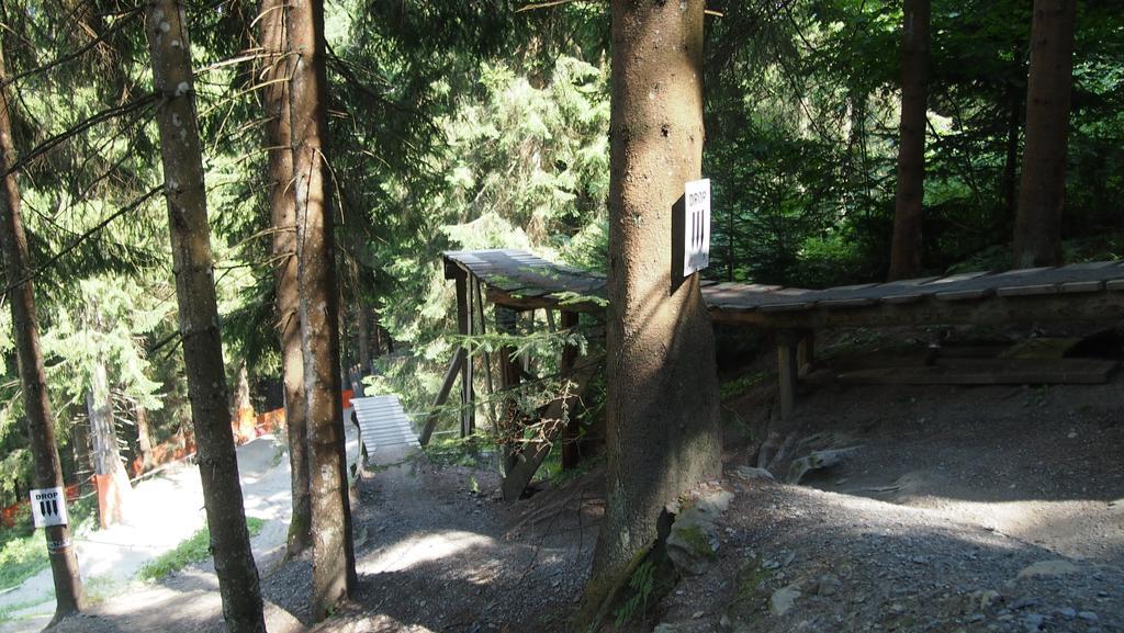 Alpin Lodge Leogang By Alpin Rentals Oda fotoğraf