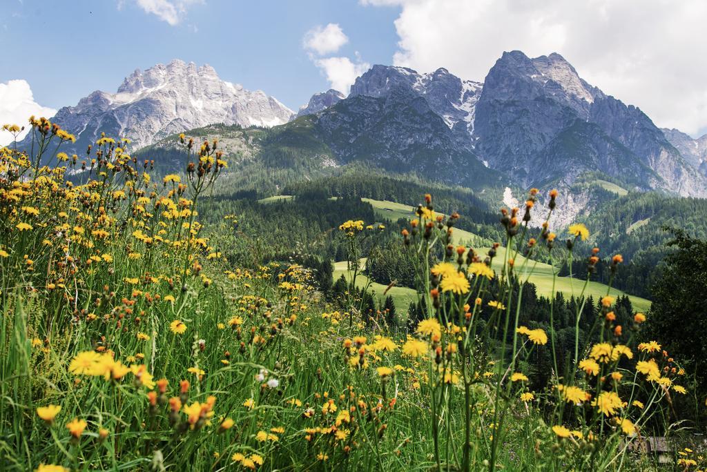 Alpin Lodge Leogang By Alpin Rentals Dış mekan fotoğraf