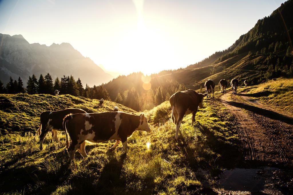 Alpin Lodge Leogang By Alpin Rentals Dış mekan fotoğraf